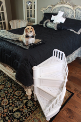 Dog shop spiral staircase